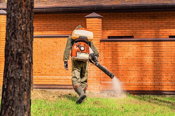 Top rated local Wasp Removal specialists in Fort Oglethorpe, GA
